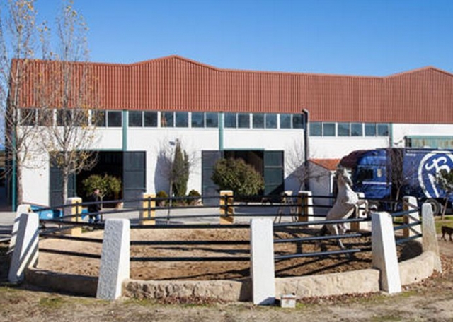 Pista circular